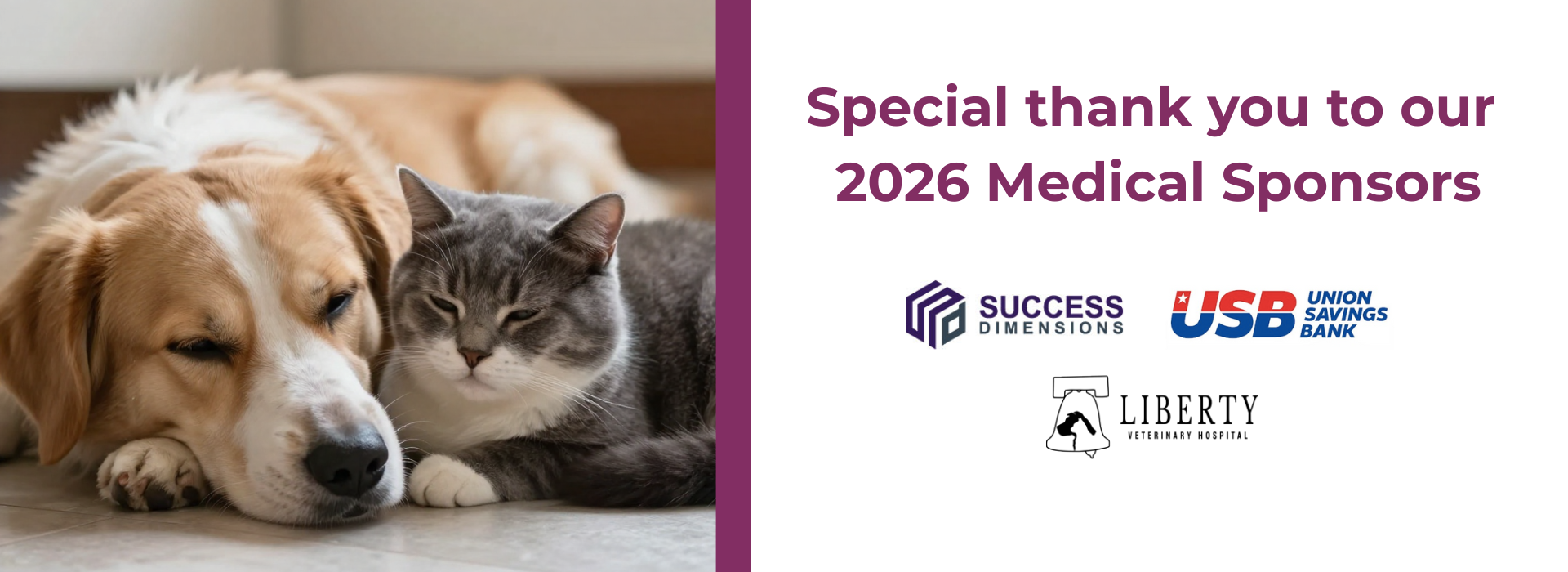 2026 AFHS Medical Sponsors